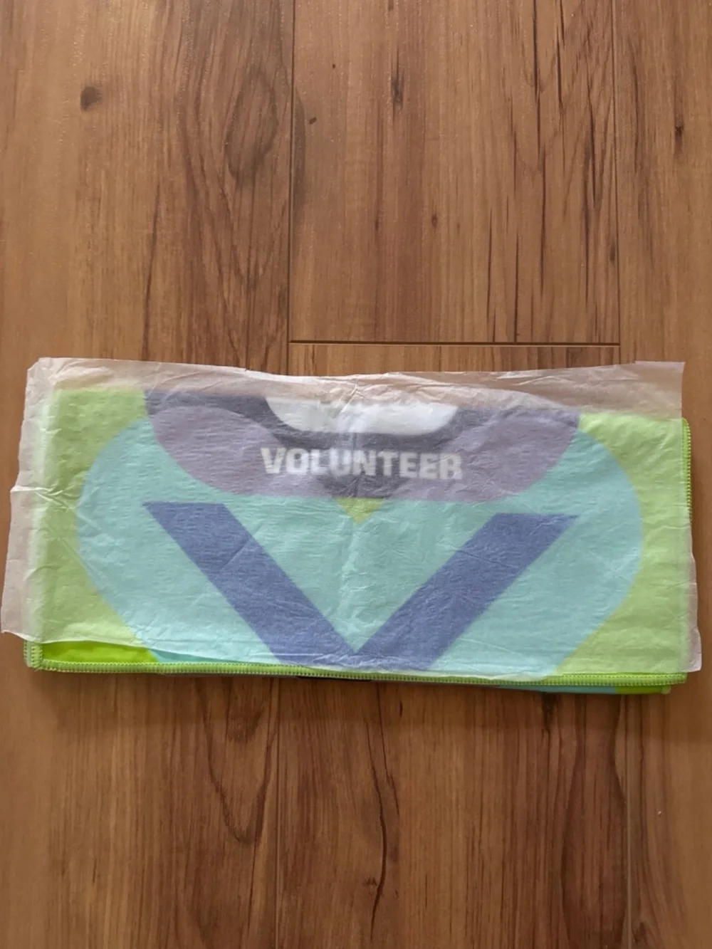 Fifa official volunteer